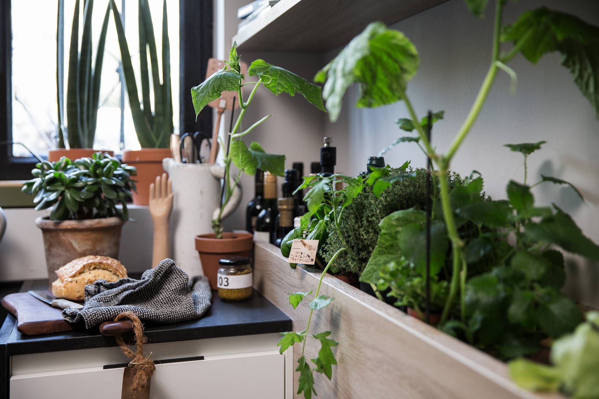 The small kitchen garden 